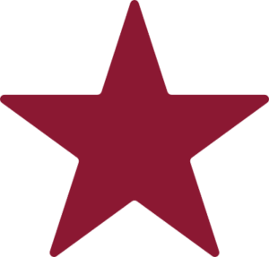 FTUAS Red Star Icon